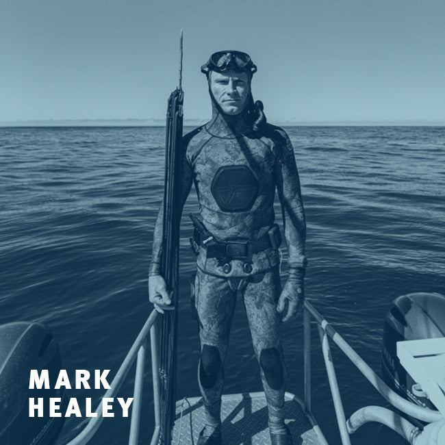 MARK HEALEY