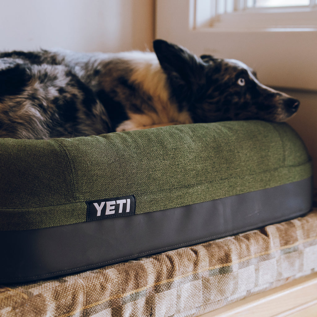 Small dog on a YETI Boomer Dog Bed in Olive colour