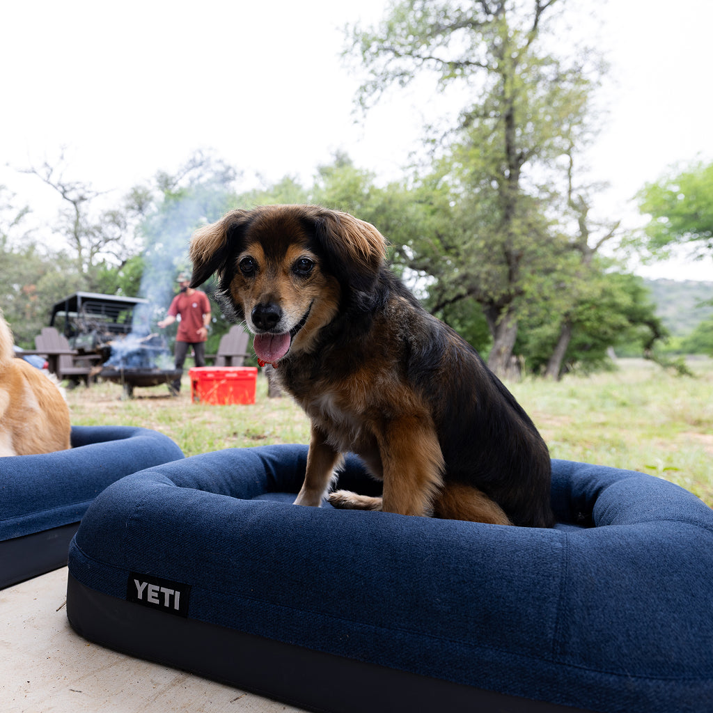 Small dog on a YETI Boomer Dog Bed with man Barbecuing in the background